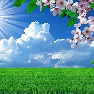 Meet your Posher, Aisha